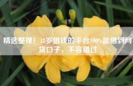 精选整理！18岁借钱的平台100%能借到网贷口子，不容错过