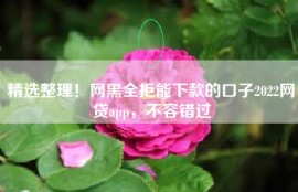 精选整理！网黑全拒能下款的口子2022网贷app，不容错过