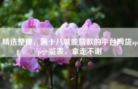 精选整理，满十八就能贷款的平台网贷app一览表，拿走不谢