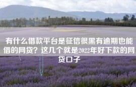 有什么借款平台是征信很黑有逾期也能借的网贷？这几个就是2022年好下款的网贷口子