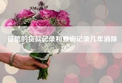 征信的贷款记录和查询记录几年消除
