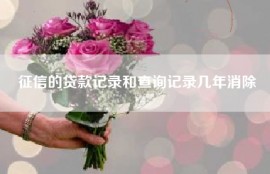 征信的贷款记录和查询记录几年消除