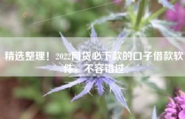 精选整理！2022网贷必下款的口子借款软件，不容错过