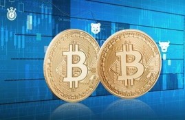 按时还款也逾期了是怎么回事？这些原因要牢记
