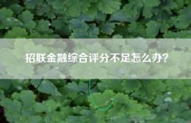 招联金融综合评分不足怎么办？