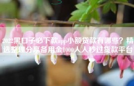 2022黑口子必下款app小额贷款有哪些？精选整理分享备用金1000人人秒过贷款平台