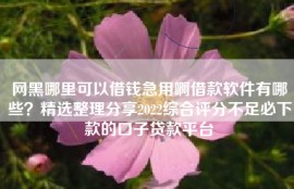 网黑哪里可以借钱急用啊借款软件有哪些？精选整理分享2022综合评分不足必下款的口子贷款平台