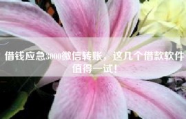 借钱应急3000微信转账，这几个借款软件值得一试！
