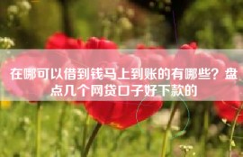 在哪可以借到钱马上到账的有哪些？盘点几个网贷口子好下款的