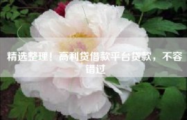 精选整理！高利贷借款平台贷款，不容错过