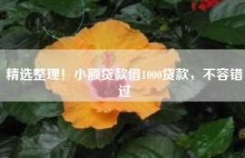 精选整理！小额贷款借1000贷款，不容错过