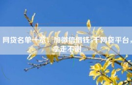 网贷名单一览，加微信借钱5千网贷平台，拿走不谢