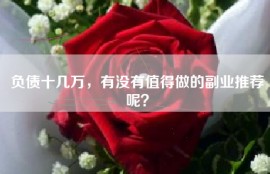 负债十几万，有没有值得做的副业推荐呢？