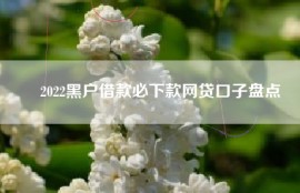 ​2022黑户借款必下款网贷口子盘点