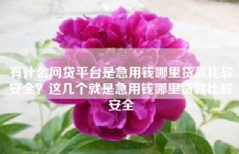 有什么网贷平台是急用钱哪里贷款比较安全？这几个就是急用钱哪里贷款比较安全