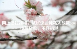 网上借钱被拒，试试这些纯私人放款5000小额贷款，不容错过