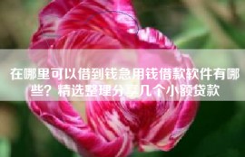 在哪里可以借到钱急用钱借款软件有哪些？精选整理分享几个小额贷款