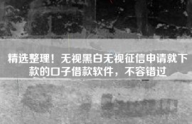 精选整理！无视黑白无视征信申请就下款的口子借款软件，不容错过