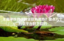 无需审核的小额贷款有哪些？盘点几个网贷平台好下款的