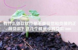 有什么借款软件是不查征信和负债的正规贷款？这几个就是小额贷款1000