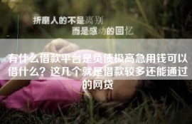 有什么借款平台是负债极高急用钱可以借什么？这几个就是借款较多还能通过的网贷