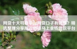 网贷十大可靠平台网贷口子有哪些？精选整理分享附近借钱马上拿钱借款平台