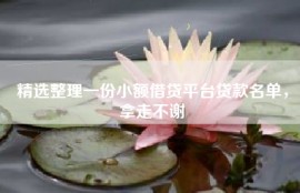精选整理一份小额借贷平台贷款名单，拿走不谢