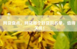 网贷盘点，网贷那个好贷款名单，值得关注！