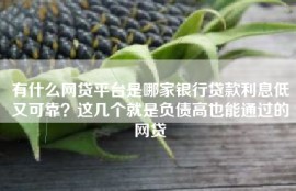 有什么网贷平台是哪家银行贷款利息低又可靠？这几个就是负债高也能通过的网贷