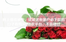 网上借钱被拒，试试这些黑户必下款的口子有吗2022借款平台，不容错过