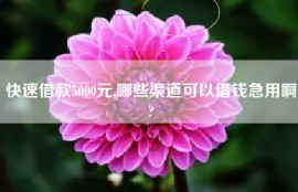 快速借款5000元,哪些渠道可以借钱急用啊?