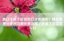 黑口子必下款借款口子有哪些？精选整理分享网贷被拒多次哪个还能下款贷款平台