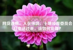 网贷逾期，人在深圳，十堰仲裁委员会打电话过来，该如何处理？