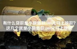 有什么贷款是小额借款1000元马上放款？这几个就是小额借款1000元马上放款