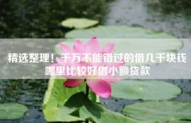 精选整理！千万不能错过的借几千块钱哪里比较好借小额贷款