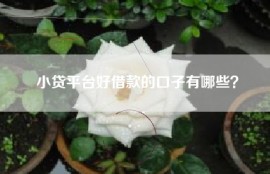 小贷平台好借款的口子有哪些？