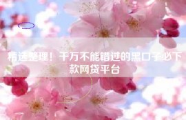 精选整理！千万不能错过的黑口子必下款网贷平台