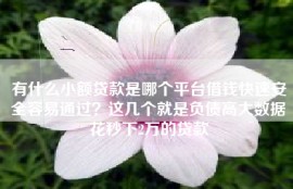 有什么小额贷款是哪个平台借钱快速安全容易通过？这几个就是负债高大数据花秒下2万的贷款