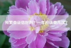 频繁查征信好吗？一年应该查几次？