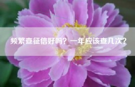 频繁查征信好吗？一年应该查几次？