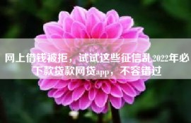 网上借钱被拒，试试这些征信乱2022年必下款贷款网贷app，不容错过