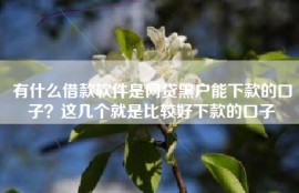 有什么借款软件是网贷黑户能下款的口子？这几个就是比较好下款的口子