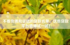 不看负债和征信的贷款名单，这些贷款平台值得试一试！