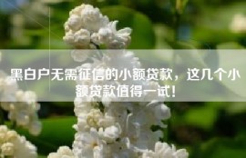 黑白户无需征信的小额贷款，这几个小额贷款值得一试！
