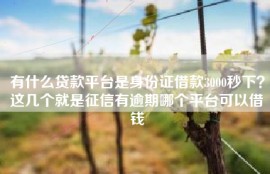 有什么贷款平台是身份证借款3000秒下？这几个就是征信有逾期哪个平台可以借钱