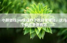 小额借钱2000块钱秒下款名单精选，这几个软件亲测有效