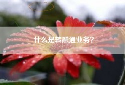 什么是转融通业务？