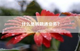 什么是转融通业务？