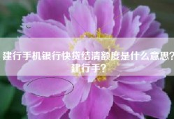 建行手机银行快贷结清额度是什么意思？建行手？