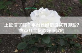 上征信了哪个平台还能借贷款有哪些？盘点几个贷款好下款的